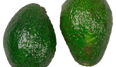 Tescot guava
